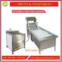 Mesin Pencuci Sayuran & Buah-buahan Berkulit Tipis / Air Bubble Vegetable Washer QX-1P / QX-22 / QX-32 Mesin Pengolah Buah dan Sayur